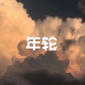 年轮 (高潮版)