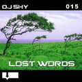 DJ Shy - Lost Words (Original Mix)