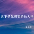 张小磊 - 这不是你想要的长大吗