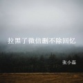 张小磊 - 拉黑了微信删不除回忆