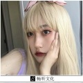 电线杆 - 世界是个动物园 (DJ版)