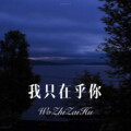 阿木子心 - 无可取代