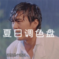 宸荨 - 我的九寨
