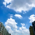 付文 - 收敛