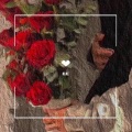 杠杠 - ♡