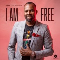 Dj 101 - I Am Free (feat. Slwane)