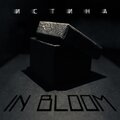 In Bloom - Истина