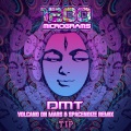 DMT (Volcano On Mars & Spacenoize remix)