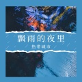 林晓如 - 飘雨的夜里