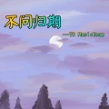 不问归期 (DJ版)