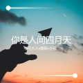 虞姬、苏可可、9爷 - 不嗨我不发