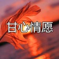 伍佰一、孙哲 - 为你祈祷 (乘风破浪版)