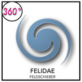 Feldschieber - Felidae