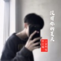 浪浪等、李芷晴 - 没有你的夏天