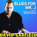 vinnie colaiuta、David Garfield、Michael Landau - Blues for Mr. J