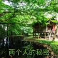 王雅菲 - 再见一面