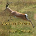 Gazelle Dance (feat. Jill Haley & Jeff Haynes)