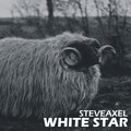 StevAxel - White Star (DjTools)