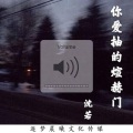 沈若 - 你爱抽的煊赫门