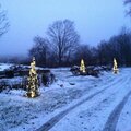 The Miracle of a Snowfall