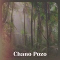 Chano Pozo