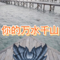 晶雷、虞姬 - 青花 (雾都版)