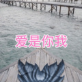 西西、虞姬 - 爱上一朵花 (即兴版)