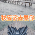 晶雷、虞姬 - 我可以 (雾都版)