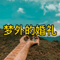 你的万水千山 (宅男版)