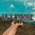 送亲 (通俗版)