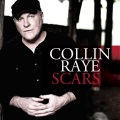 collin raye、Scotty Wray、Tony Ramey - Scars