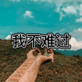 问少年 (通俗版)