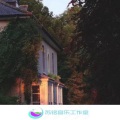曹小康 - 你我都是热度王