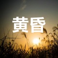 处处吻 (打卡版)