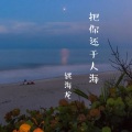 姚海龙 - 把你归还于人海