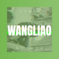 高元德 - 忘情歌 (DJ版)