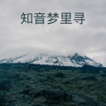 嫣洛瑶 - 未肯放弃