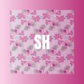 DJ Mr.Zi、全伟奇 - ***