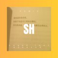 DJ Mr.Zi、万鸿信 - 我不走 (DJ弹鼓版)