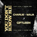 Giftleen、Charlie-Waja - You Don't Know Me