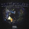 BAND SCHEMINGTON - Colliflower (Explicit)