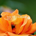 Rose Tinted & Anna Be - Underground