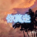 宋琦 - 再叫一声亲爱的真的好想你