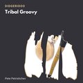 Pete Petrishchev - Tribal Groovy Didgeridoo