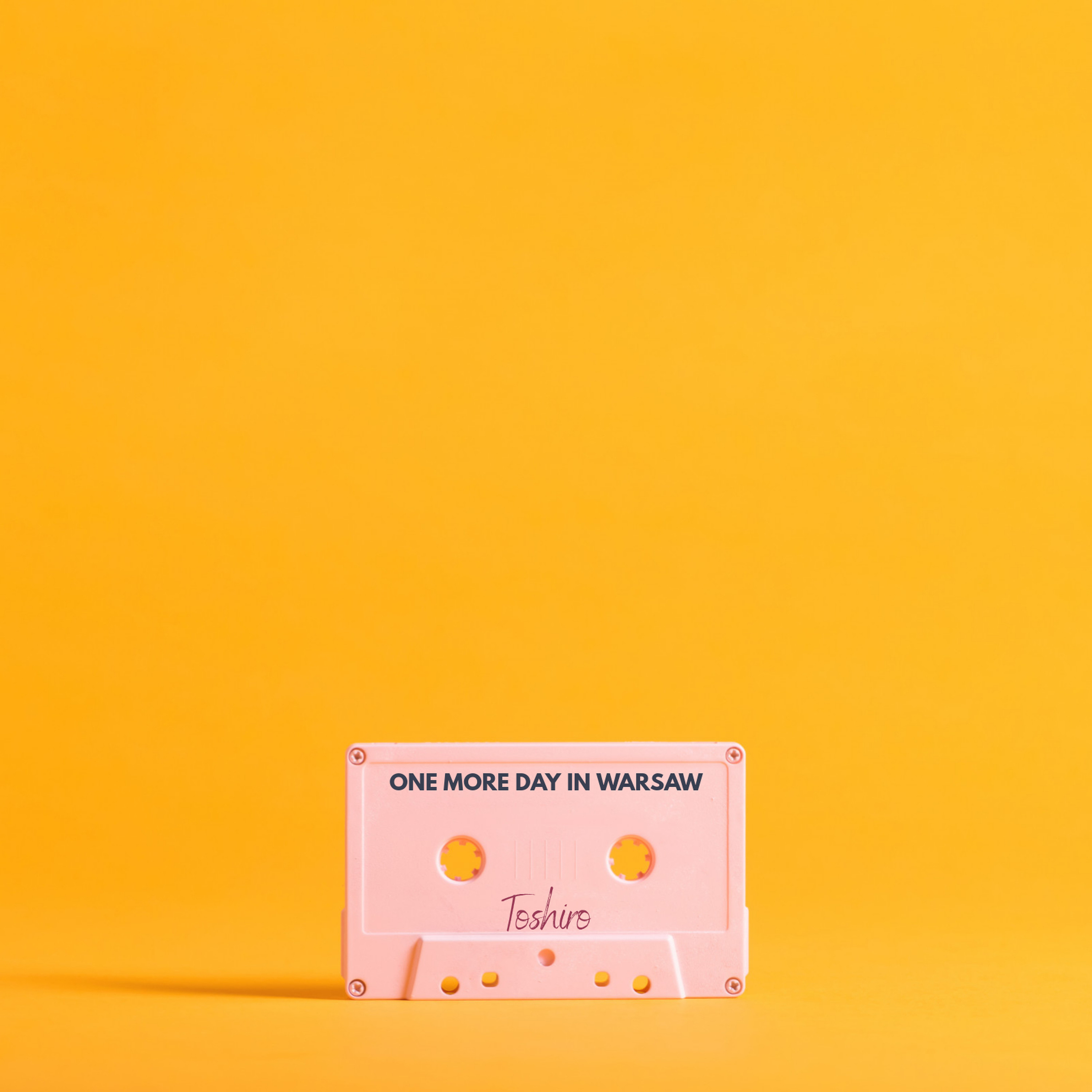 Toshiro - One More Day In Warsaw