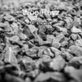 Woo Reyz - Chook (Explicit)