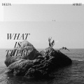 Delta Spirit - Just The Same