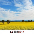 初梦 - 只想搞钱