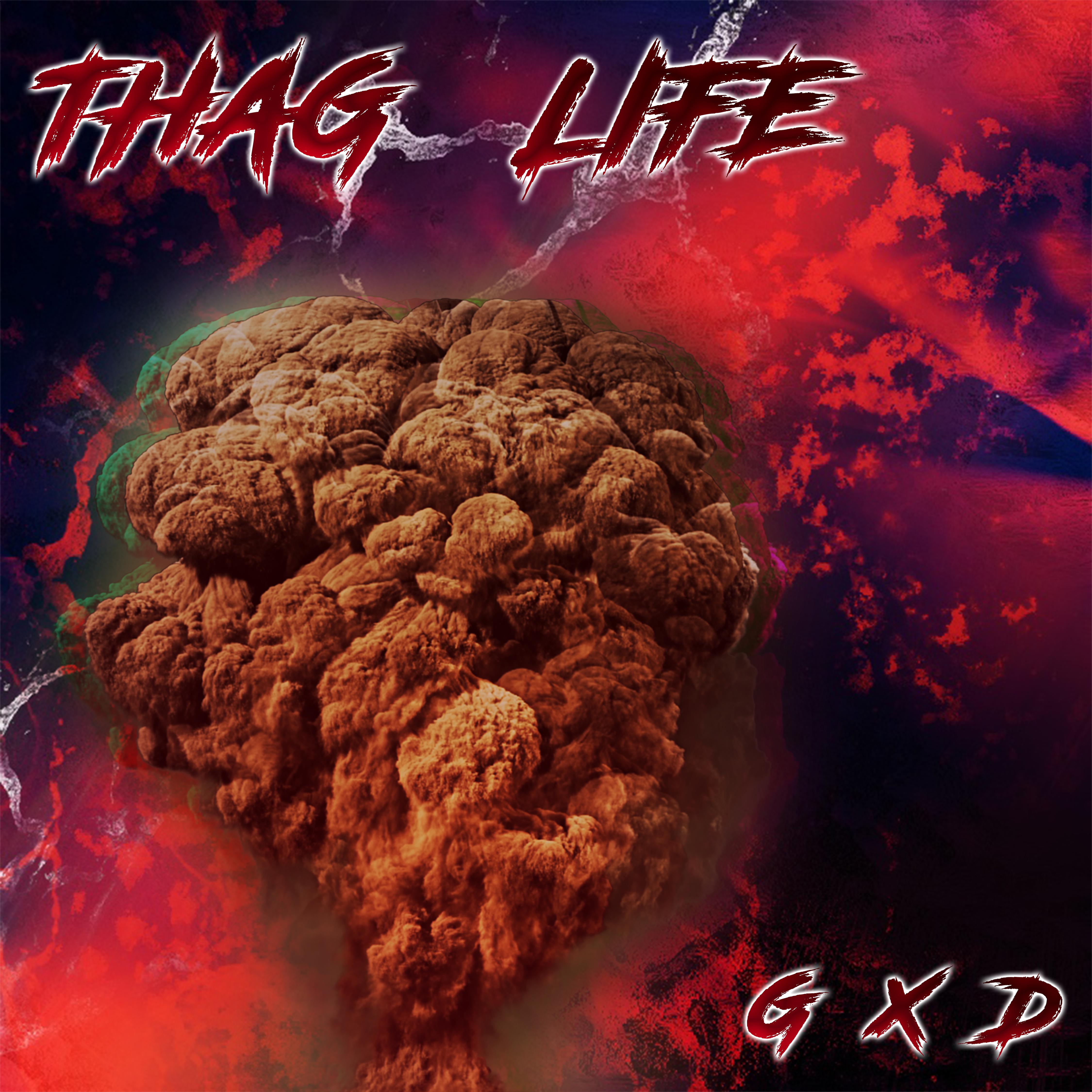 GXD - Smoking Cone's