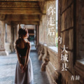 小韩不憨憨 - 你走后的大城县